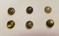 Labradorite Round flat back Cabochon High Quality 8mm 9mm 10mm sizes