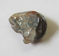 15.5mmx12.2mm Natural Free Form Fire Agate Gemstone 10 ct. Great Color Gemstone