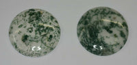 Tree Agate Round Cabochon High Quality 16mm 18mm 20mm 22mm 25mm 38mm