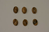 Lot of 10 Picture Jasper Oval Cabochon High Quality 5x7 6x8 7x9 8x10 10x12 10x14