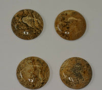 Lot of 2 Picture Jasper Round Cabochon High Quality 20mm 30mm sizes