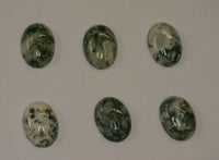 Lot of 2 Tree Agate Oval Cabochon High Quality 12x16 13x18 15x20