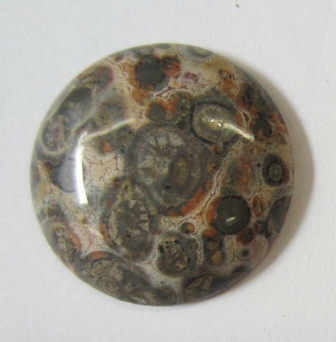 25mm Leopardskin Jasper Round flat back Cabochon High Quality Gemstones