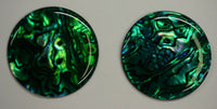 Green Paua Shell Round High Quality Cabochon 16mm 18mm 20mm 25mm 30mm 38mm Cabs