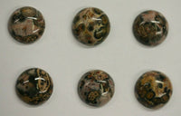 6pcs 8mm Leopardskin Jasper Round Calibrated Cabochon Gemstones Gems Jewelry
