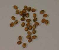 10pcs Natural Picture Jasper Oval Cabochon High Quality 5x7 6x8 7x9 8x10 10x12 10x14 Gemstones