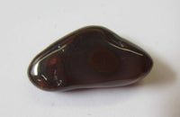 20.5mmx10.5mm Natural Free Form Fire Agate Gemstone 9.5 ct. Great Color Gemstone.