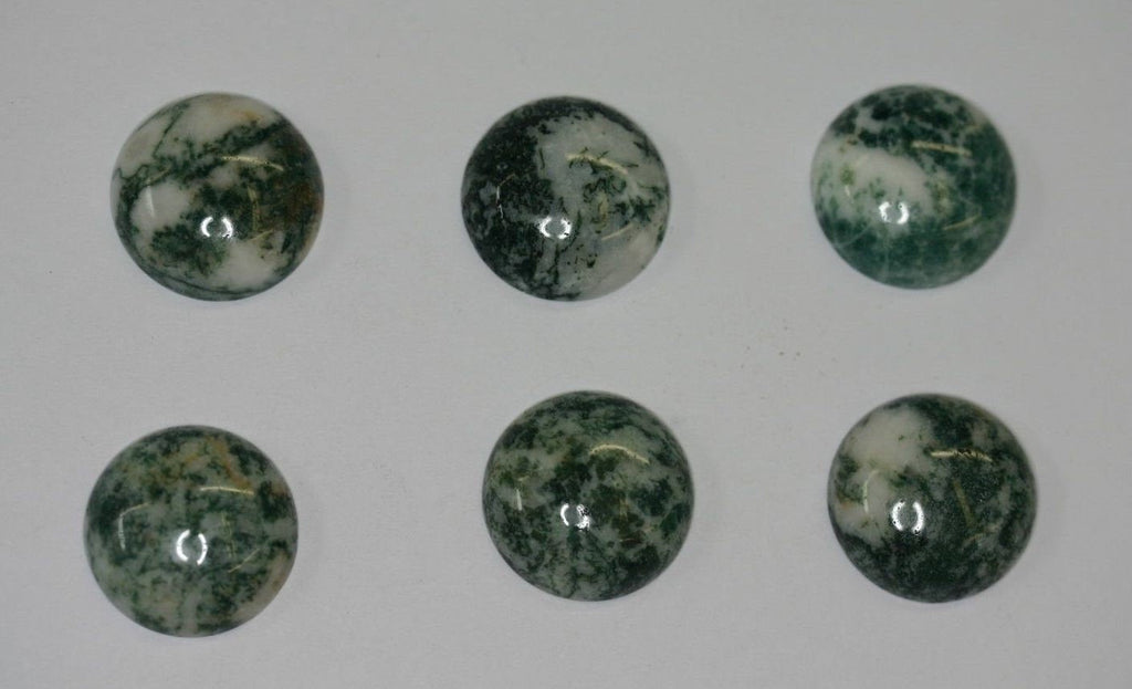 Lot of 2 Tree Agate Round Cabochon High Quality 8mm 10mm 12mm 14mm Gemstones