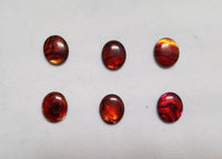 10 Paua Shell Red Oval Cabochon High Quality 4x6 5x7 6x8 7x9 8x10 10x12 10x14mm Gemstones US SELLER