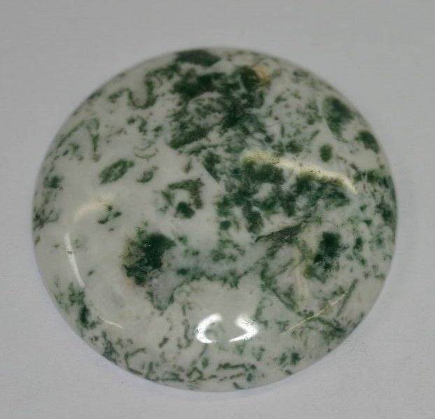 Tree Agate Round Cabochon High Quality 16mm 18mm 20mm 22mm 25mm 38mm Gemstones