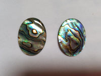 6 Paua Shell Natural Abalone Oval Cabochon High Quality 12x16mm 13x18mm 15x20mm Gemstones US SELLER