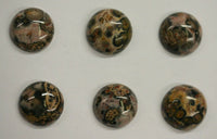 6pcs 5mm Leopardskin Jasper Round Calibrated Cabochon Gemstones Gems Jewelry US SELLER