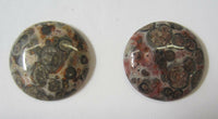 2pcs 16mm Leopardskin Jasper Round Calibrated Cabochon Gemstones Gems Jewelry