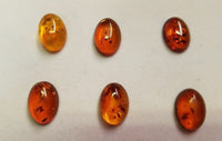 Natural Calibrated Oval Amber Cabochon High Quality Gemstones 10x12mm 12x10mm