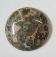 2pcs 16mm Leopardskin Jasper Round Calibrated Cabochon Gemstones Gems Jewelry