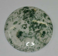 Tree Agate Round Cabochon High Quality 16mm 18mm 20mm 22mm 25mm 38mm
