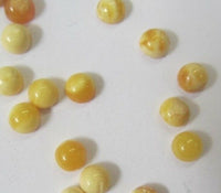 2pcs 5mm Natural Round Butterscotch Amber Cabochon High Quality Gemstones RARE