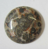 2pcs 18mm Leopardskin Jasper Round Calibrated Cabochon Gemstones Gems Jewelry