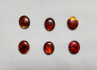 10pcs 10x12mm Natural Paua Shell Red Calibrated Oval Cabochon Gemstones Jewelry
