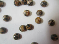 6pcs 5mm Leopardskin Jasper Round Calibrated Cabochon Gemstones Gems Jewelry