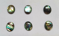 Lot of 6 Paua Shell Abalone Oval Cabochon High Quality 12x16 13x18 15x20 sizes