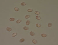 Lot of 10 Rose Quartz Oval flat back Cabochon High Quality 4x6 5x7 up to 13x18