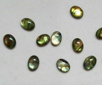 10pcs 10x14mm Natural Paua Shell Abalone Calibrated Oval Cabochon Gems Jewelry