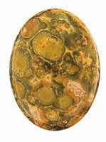 Leopardskin Jasper Cabochon