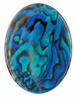 Paua Shell Blue Cabochon