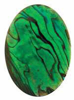 Paua Shell Green Cabochon