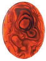 Paua Shell Red Cabochon