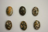 10pcs Natural Leopardskin Jasper Oval Cabochon High Quality 4x6 5x7 6x8 7x9 8x10 10x12 10x14 Gemstones