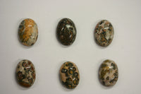 4pcs Natural Leopardskin Jasper Oval Cabochon High Quality 12x16 13x18 15x20 Gemstones