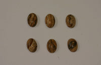 10pcs Natural Picture Jasper Oval Cabochon High Quality 5x7 6x8 7x9 8x10 10x12 10x14 Gemstones