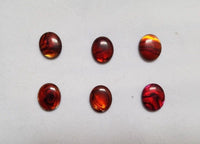 6 Paua Shell Red Oval Cabochon High Quality 12x16mm 15x20mm Gemstones US SELLER