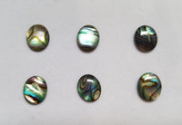6 Paua Shell Natural Abalone Oval Cabochon High Quality 12x16mm 13x18mm 15x20mm Gemstones US SELLER