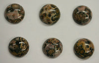 6pcs 12mm Leopardskin Jasper Round Calibrated Cabochon Gemstones Gems Jewelry US SELLER