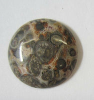 25mm Leopardskin Jasper Round Calibrated Cabochon Gemstones Gems Jewelry